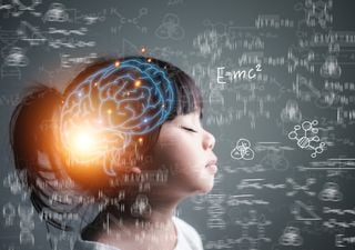 A los 9, 32, 66 y 83 años, el cerebro da un giro: unos científicos de Cambridge explican qué significa para tu mente