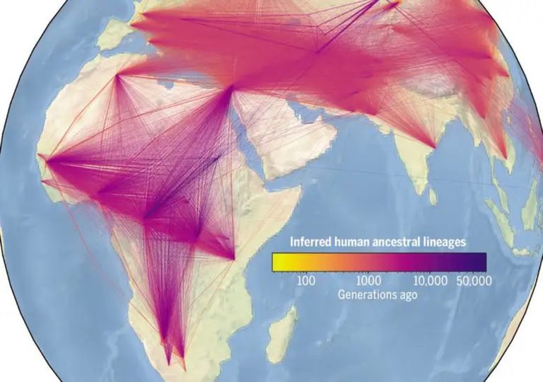 Mapa revela os nomes mais populares em todo o Mundo