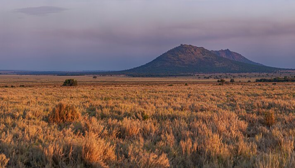 A palavra "Serengeti" deriva do termo Maasai Siringet, que significa literalmente "planícies infinitas".