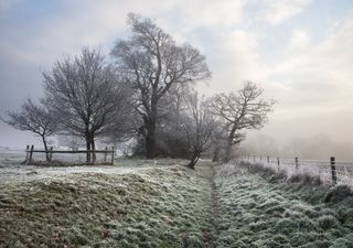 A mais intensa massa de ar polar até o momento chega no fim deste mês