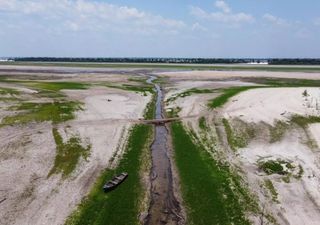 A más de un año de iniciada, la sequía en el Amazonas está lejos de terminar