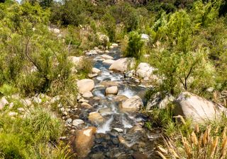 A menos de 1 hora de Santiago: el parque nacional con senderos ideales para dar la bienvenida al otoño