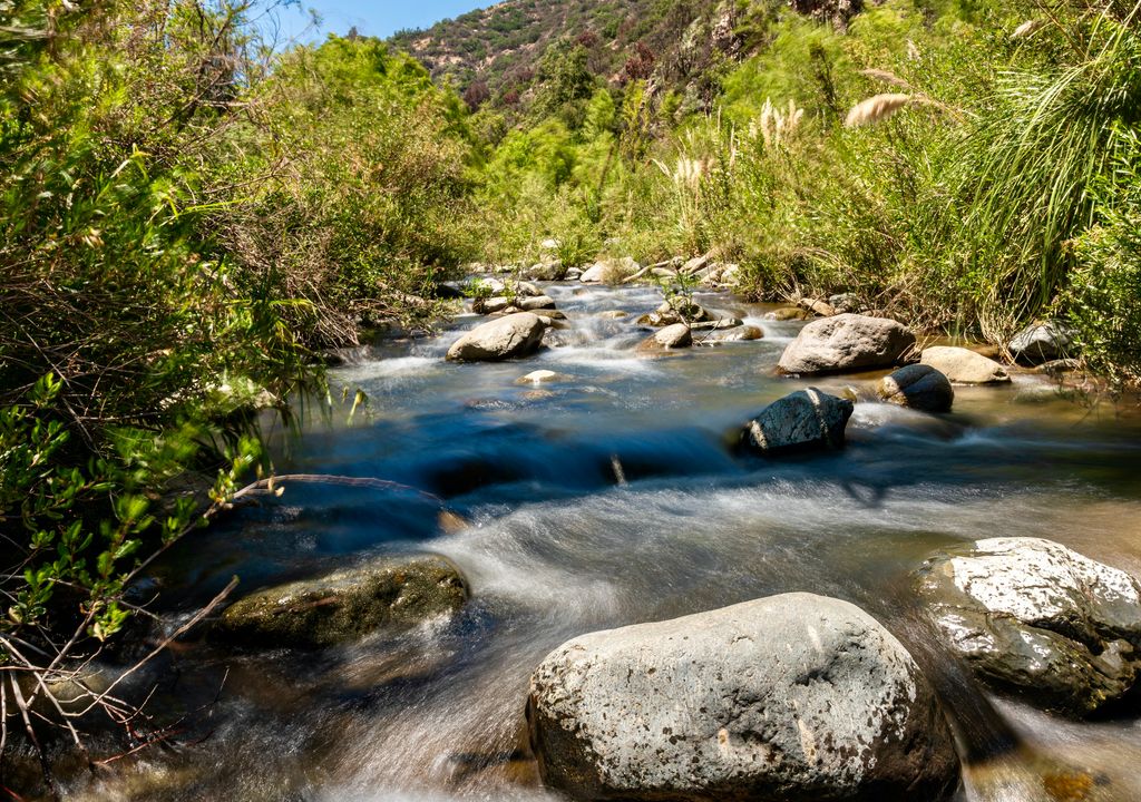 Parque Nacional Río Clarillo, Pirque, Región Metropolitana. Parque Nacional Río Clarillo, Pirque, Región Metropolitana.