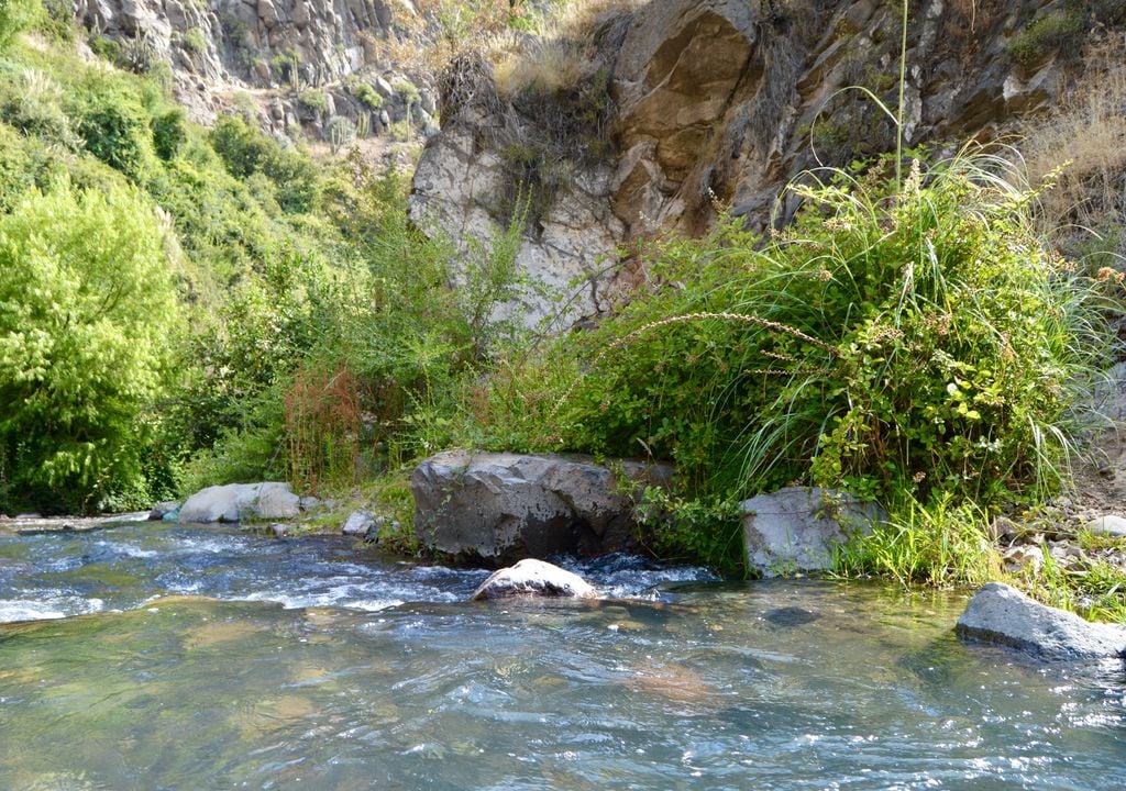 Santuario de la Naturaleza El Arrayán, Región Metropolitana.