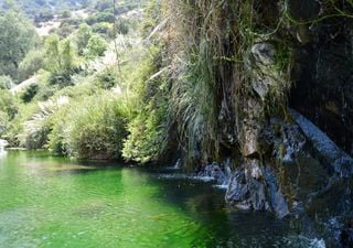 A menos de una hora de Santiago: el santuario natural perfecto para un día de pícnic y trekking