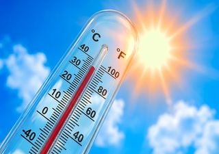 A meteorologista Ana Palma: &ldquo;a partir de quarta-feira, o calor alivia no litoral, mas persiste no interior&rdquo;