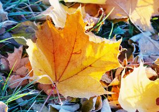 'Jack Frost' arrives in the UK for a wintry weekend