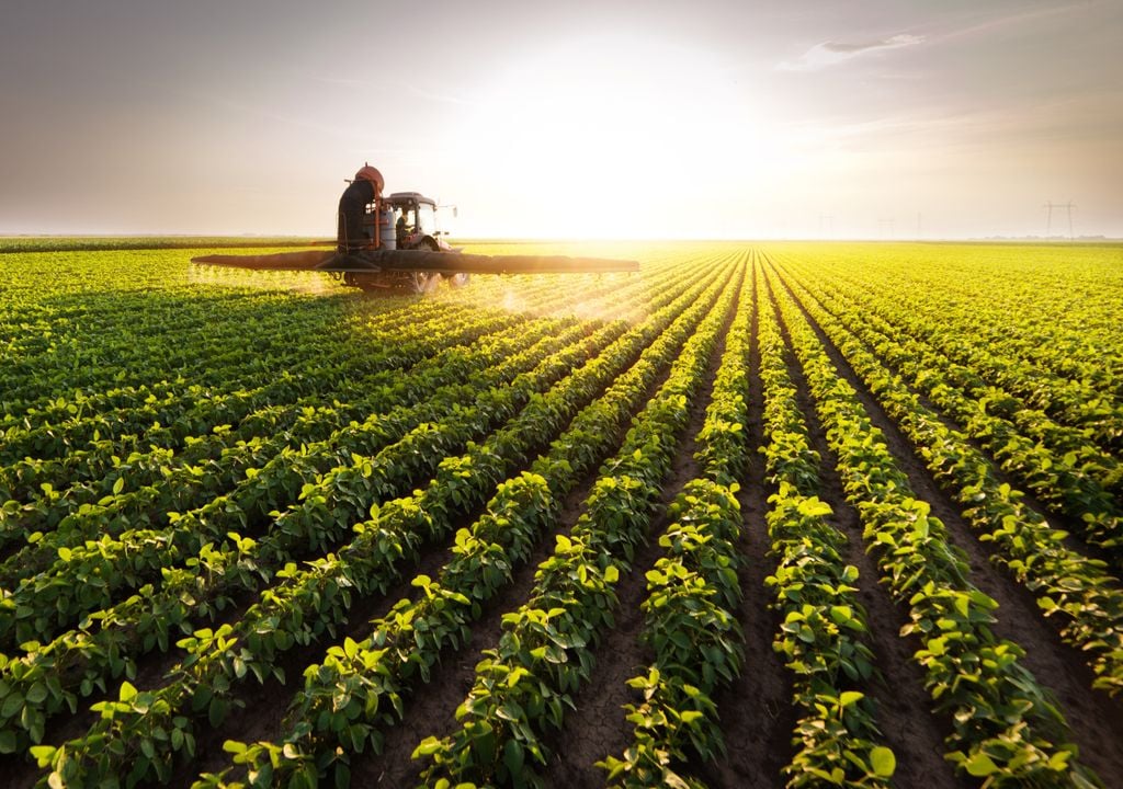 campo agrícola; agricultura; sustentabilidade