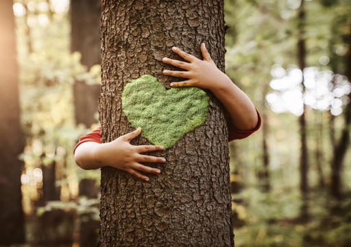 A natureza como ref&uacute;gio: Por que a juventude chinesa est&aacute; a abra&ccedil;ar &aacute;rvores?