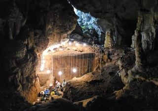 A new study reveals early modern human activity in a cave in Southeast Asia