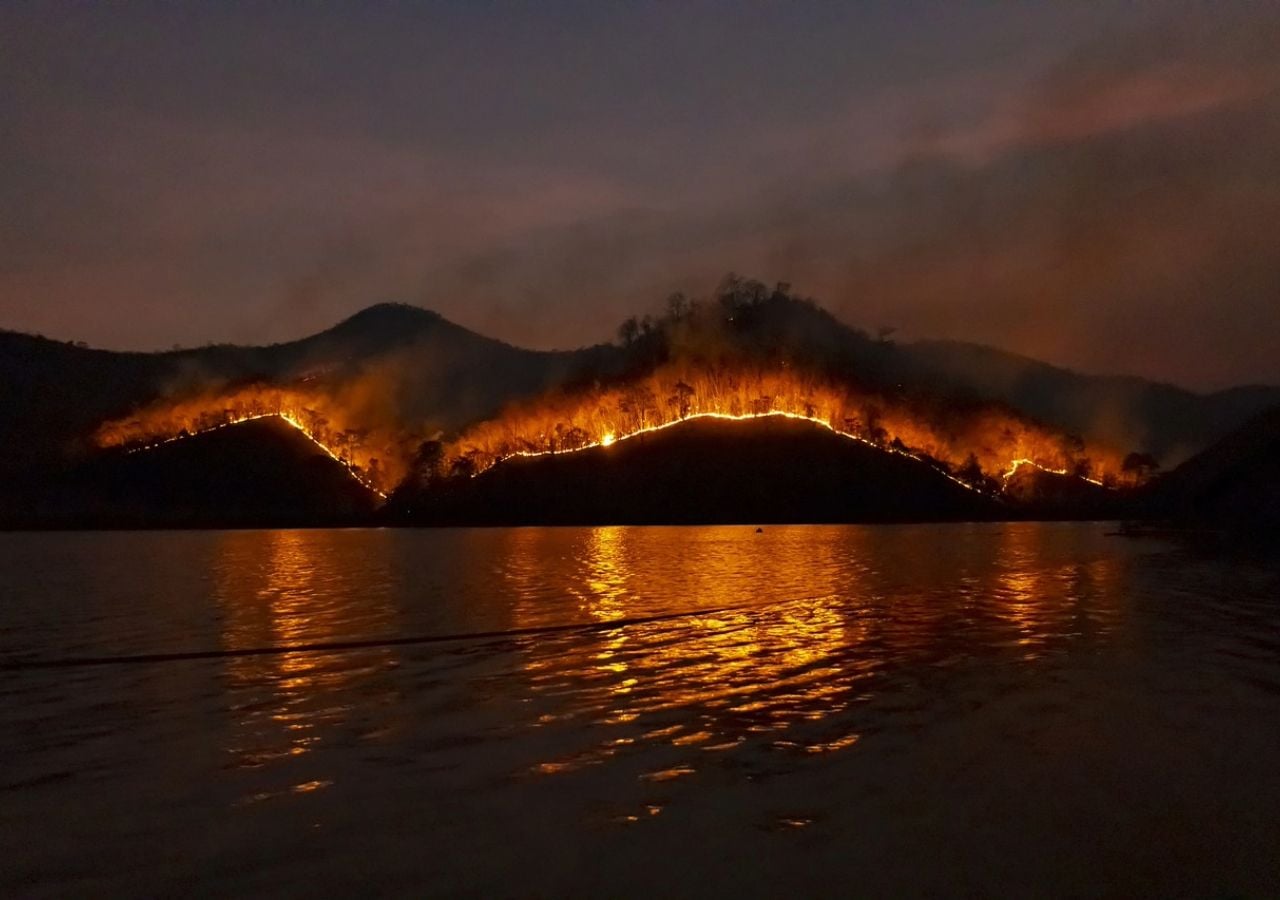 Imagen de un incendio forestal. Crédito: Pixabay