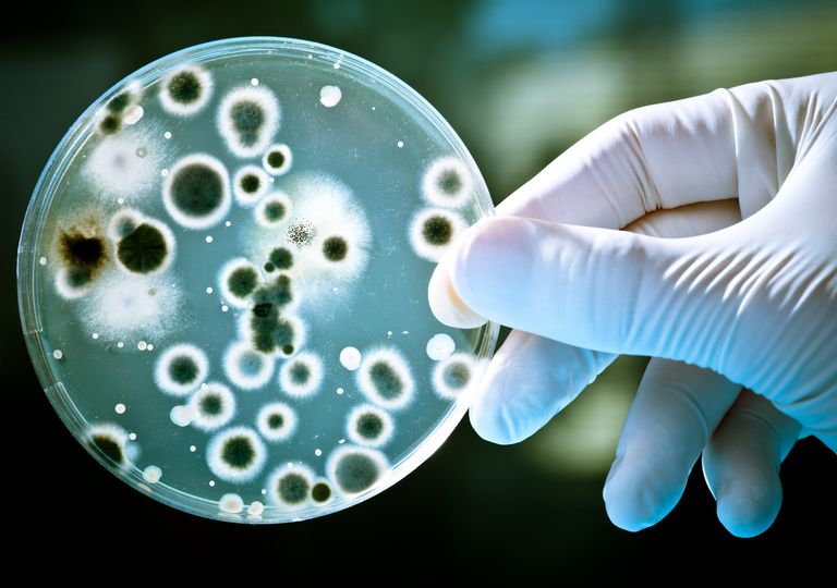 A nova crise na saúde pode estar no errado uso de antibióticos A nova crise na saúde pode estar no errado uso de antibióticos