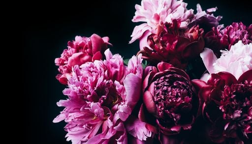 &Agrave; offrir ou &agrave; planter, quelles sont les fleurs de ce moi de mai ?