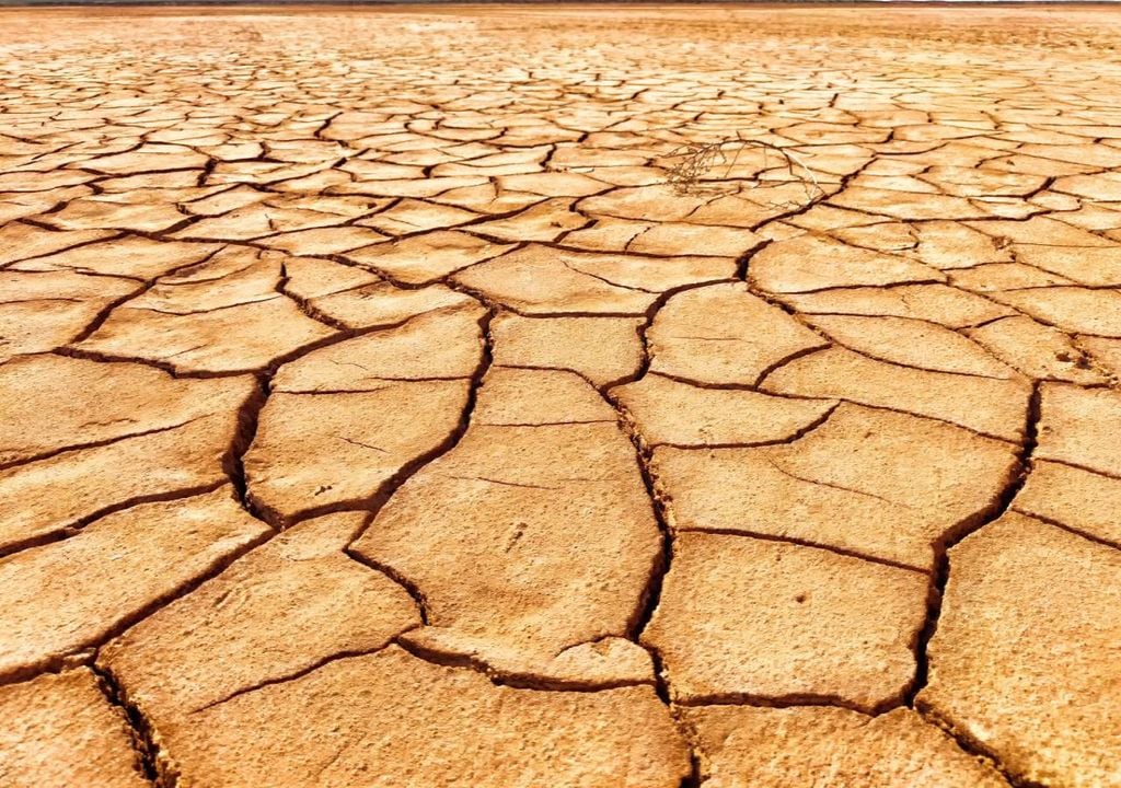 As secas estão também a aumentar em termos de duração, frequência e intensidade à medida que as temperaturas globais sobem. Mais de 1,8 mil milhões de pessoas lidaram com condições de seca em várias alturas de 2022 e 2023.