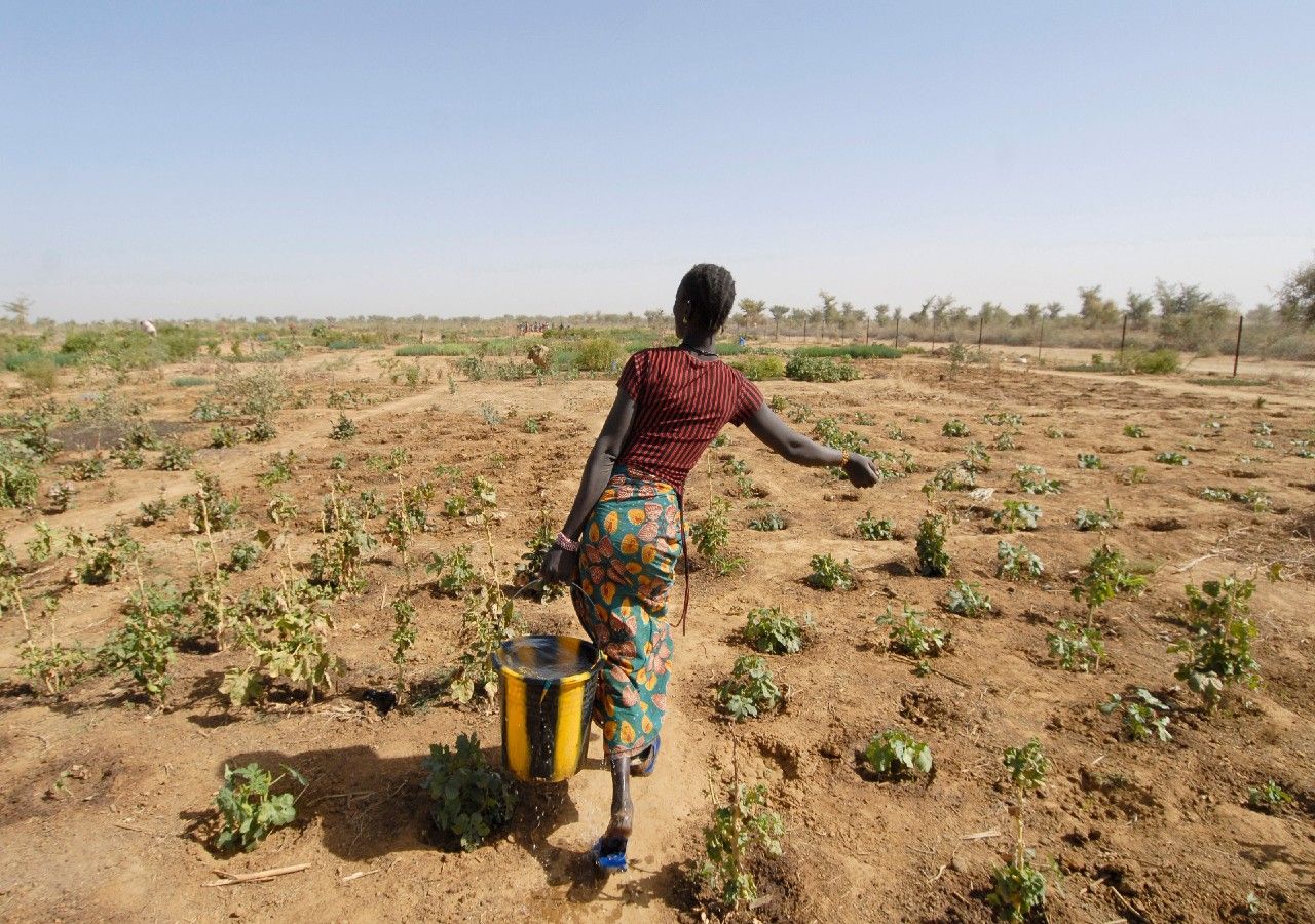 Frauen sind am stärksten vom Klimawandel betroffen.