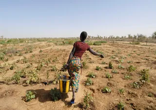 La OMM en la defensa de los derechos de las mujeres y el fortalecimiento de la adaptación al cambio climático