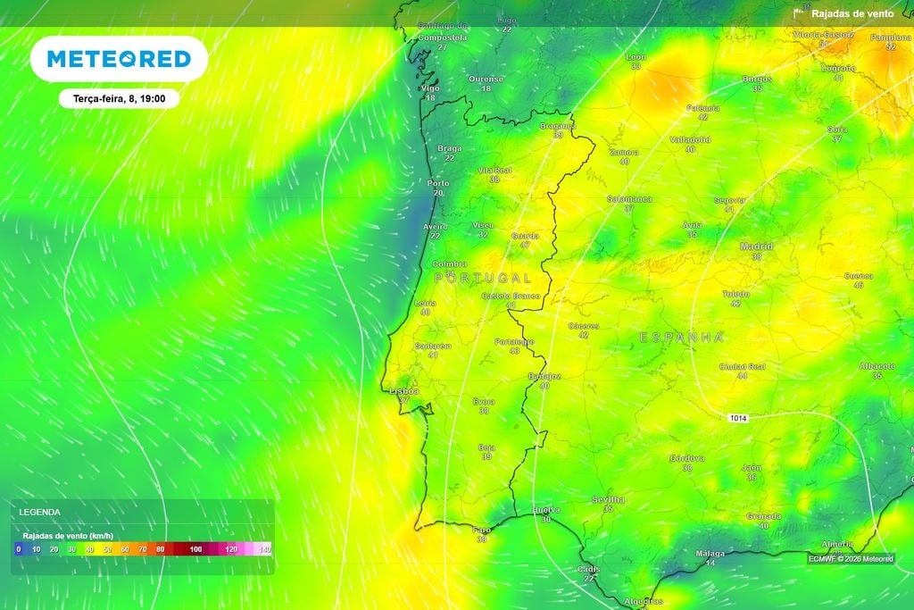 Passagem da frente será acompanhada por algumas rajadas mais fortes Rajadas de vento previstas pelo ECMWF para as 19h. Em algumas áreas do interior poderão aproximar-se dos 40 a 50 km/h, enquanto o vento será menos intenso no litoral Norte.