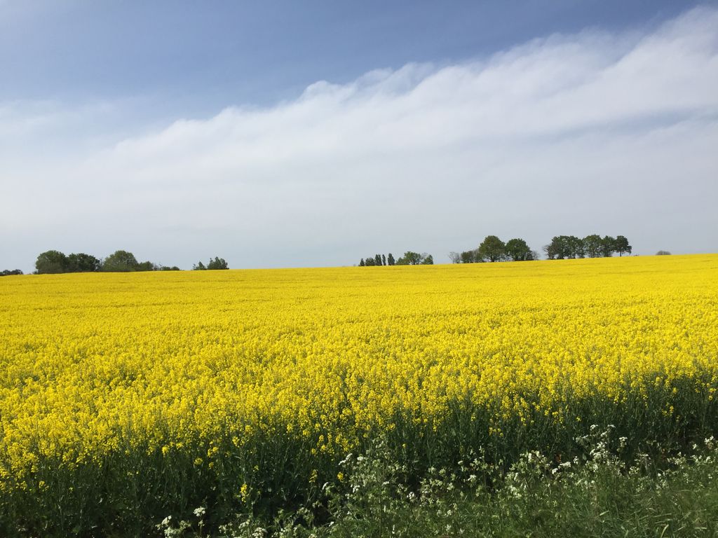 Après une fin avril et un début mai mitigés, des conditions printanières voire estivales pourraient s'installer à partir de la mi-mai...