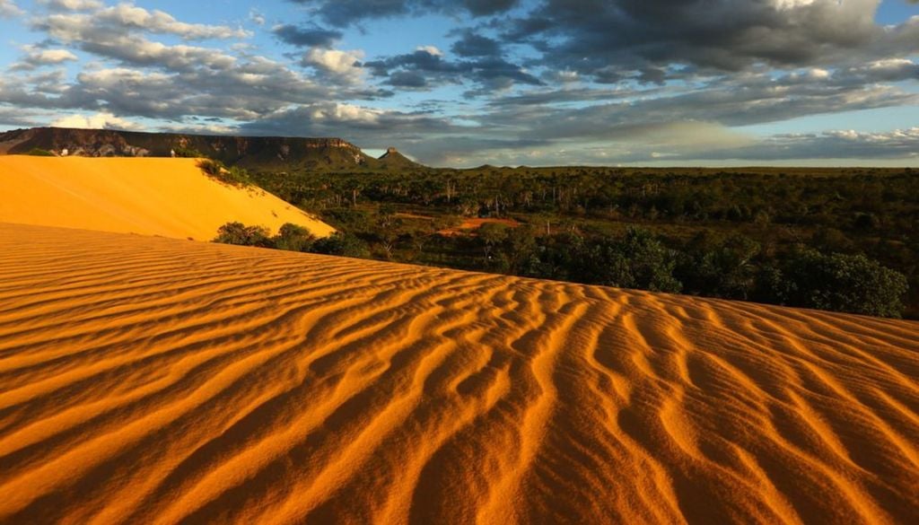 As dunas do Jalapão são montes de areia dourada que podem chegar a até 40 metros de altura. Crédito: Divulgação.