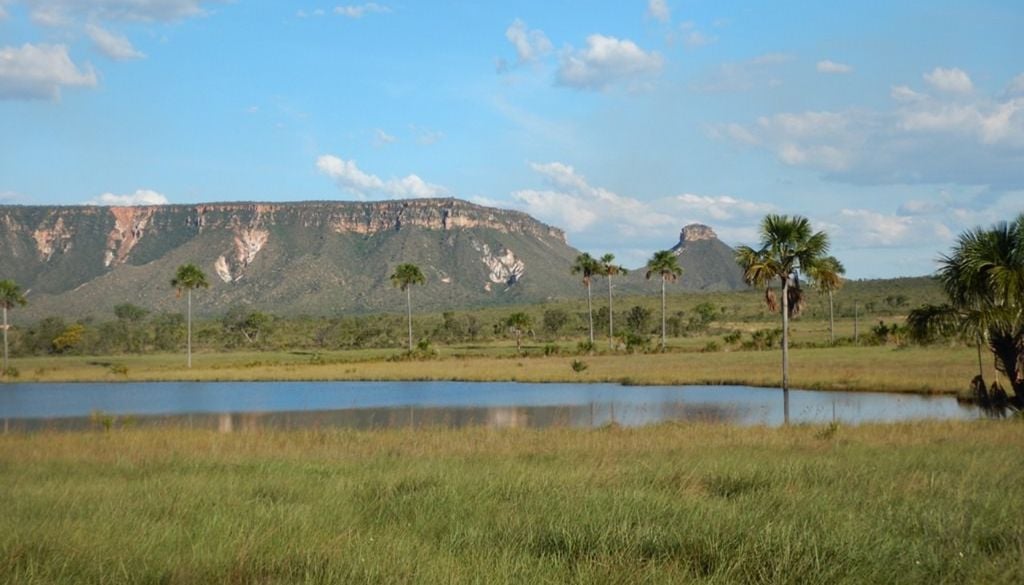 O Parque Estadual do Jalapão é uma grande reserva da vida do bioma Cerrado, além de ser o destino mais visitado do Tocantins por turistas vindos de todos os cantos do Brasil e também do exterior. Crédito: Divulgação.