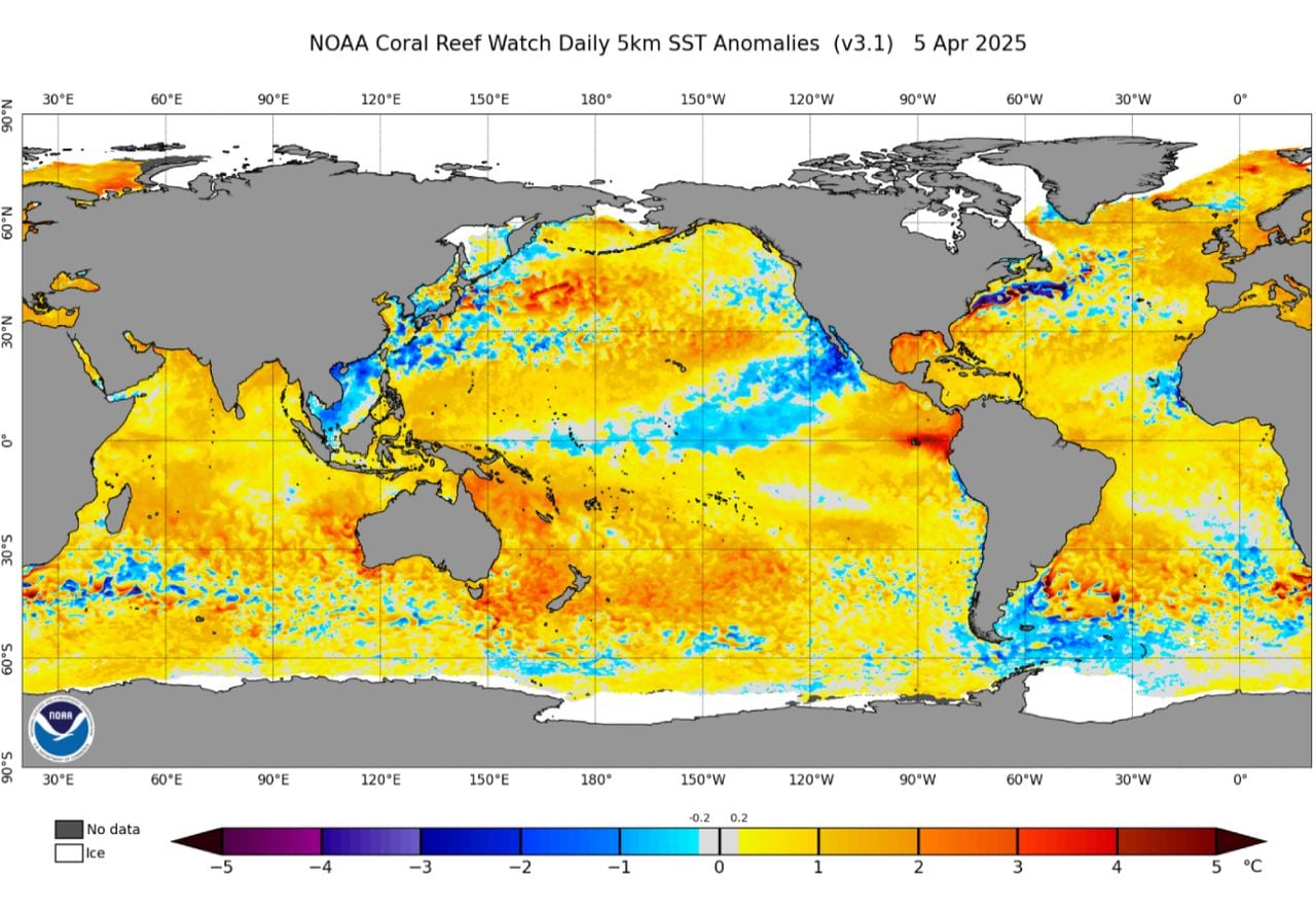 Les anomalies de température de surface de la mer pour le 5 avril 2025 indiquent un réchauffement significatif de l'océan Pacifique au large de l'Amérique du Sud et une neutralité dans le secteur central de surveillance. Source : NOAA : NOAA.