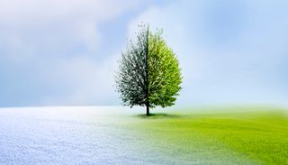 Primavera come&ccedil;a nesta ter&ccedil;a-feira, 22: entenda por que o clima n&atilde;o muda de imediato