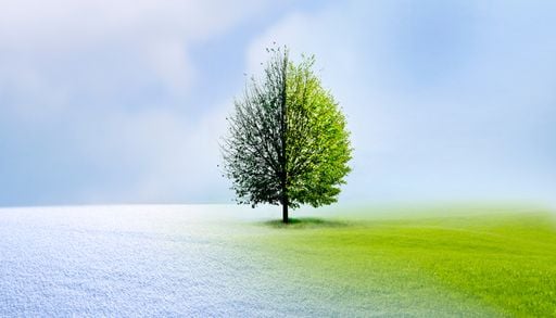 Primavera come&ccedil;a nesta ter&ccedil;a-feira, 22: entenda por que o clima n&atilde;o muda de imediato