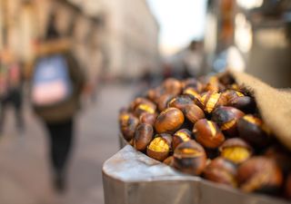 ¿Cómo podemos combatir el frío? Con castañas asadas, llega la época 