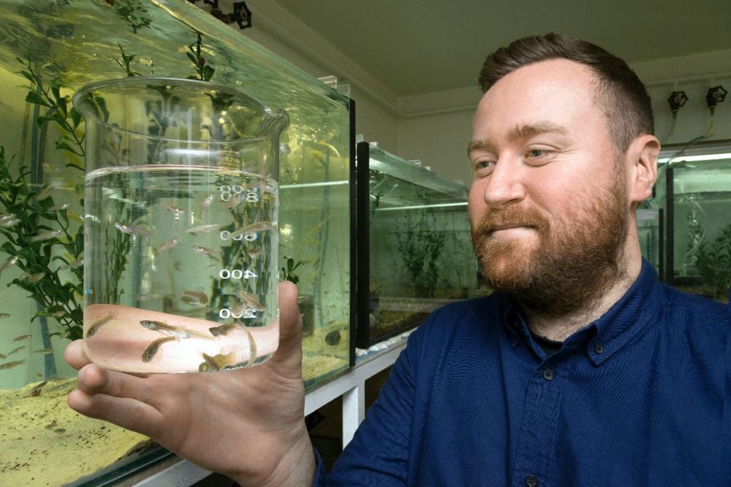 Web of science, scopus, elsevier