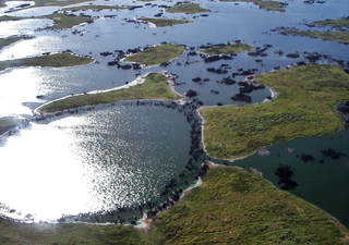 Área alagada no Pantanal reduziu 61% em 38 anos, afirma estudo do MapBiomas