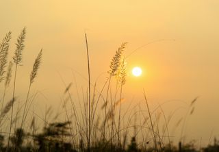 A Região Sul vai enfrentar período de pouca chuva. Quando deve voltar a chover com frequência?