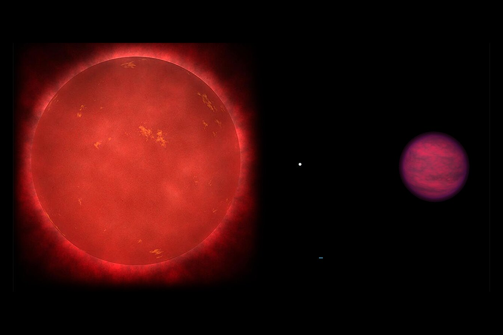 Anã marrom que contém fosfina em sua composição faz parte de um sistema triplo que contém uma estrela vermelha e uma anã branca. Crédito: Burgasser et al. 2025 Anã marrom que contém fosfina em sua composição faz parte de um sistema triplo que contém uma estrela vermelha e uma anã branca. Crédito: Burgasser et al. 2025