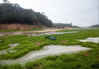 A seca que afetou a Amazónia em 2023 causou a maior queda nos níveis dos rios alguma vez registada