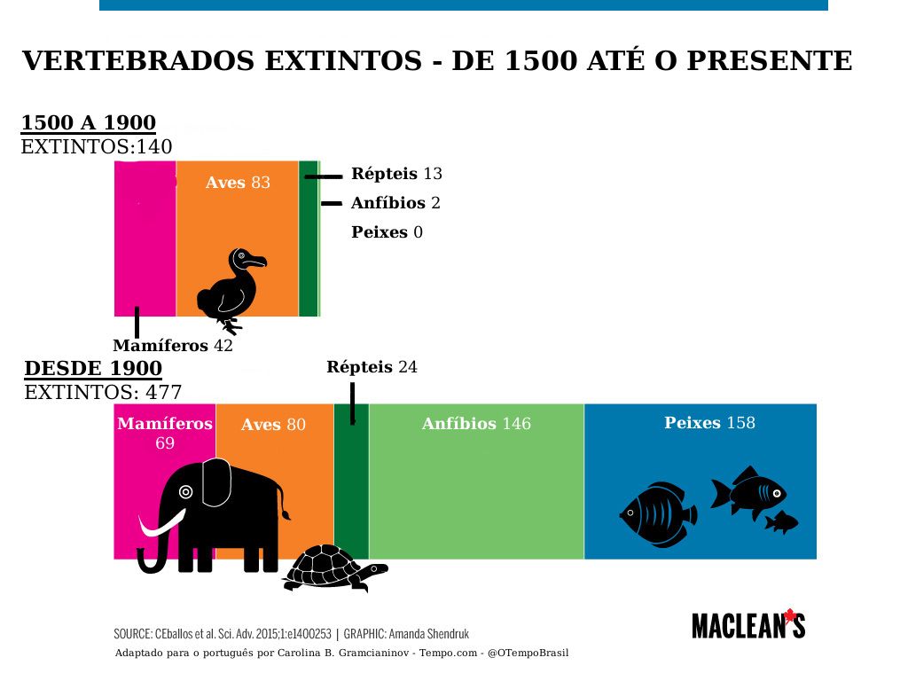Sexta extinção em massa já está acontecendo – e mais rápido do que se  pensava - ISTOÉ DINHEIRO