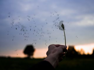 A soplar fuerte, ¡es el día del viento!