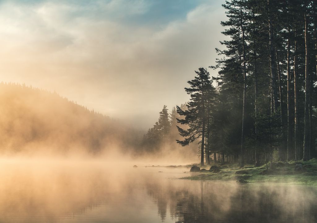 Mist over the lake