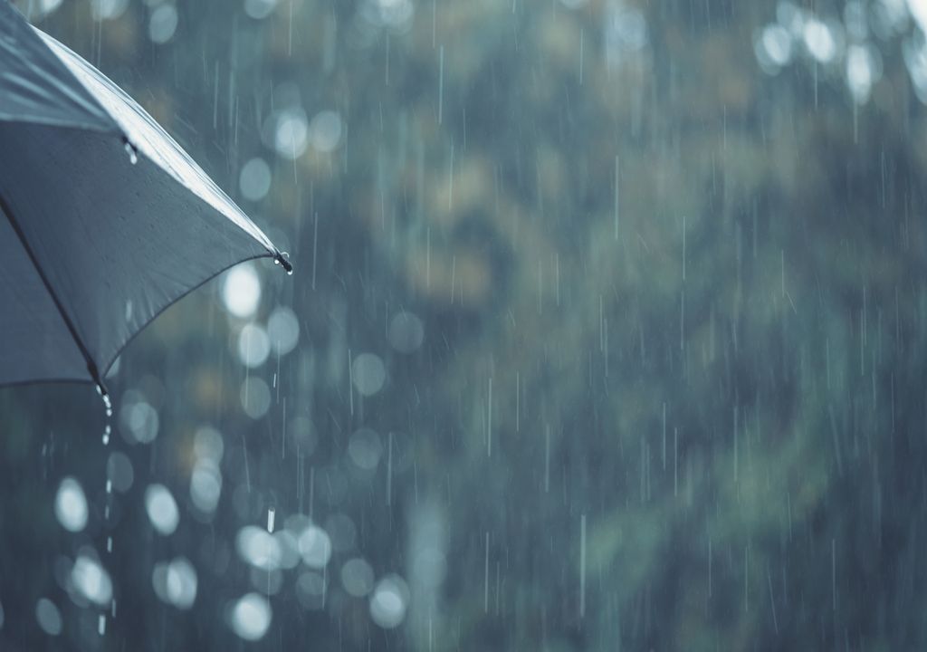 chuva, guarda-chuva, tempo, Portugal
