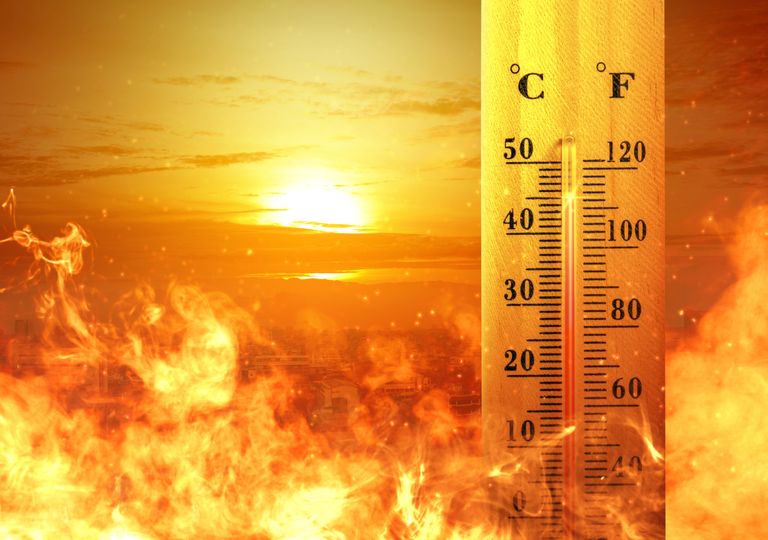 Temperatura elevada Temperatura elevada