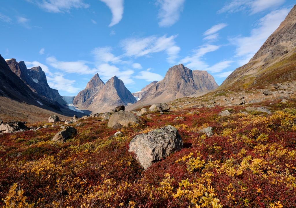 paisaje de tundra