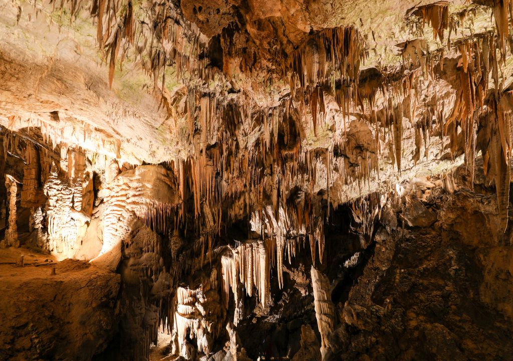 Caverna de Postojna