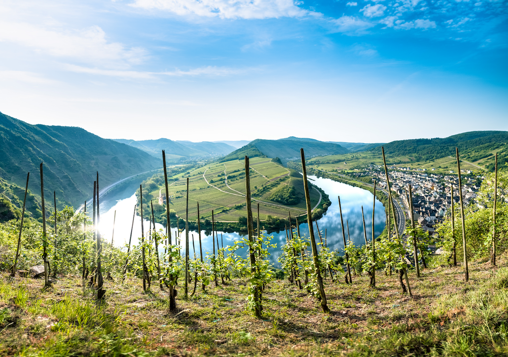 Moselschleife, Naturliebhaber, Fotografen, Wanderfreunde Moselschleife, Naturliebhaber, Fotografen, Wanderfreunde
