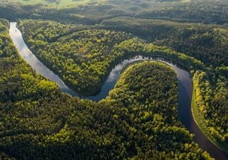 Abholzung im Amazonasregenwald versch&auml;rft Extremwetter: Studie sagt dramatische Folgen voraus