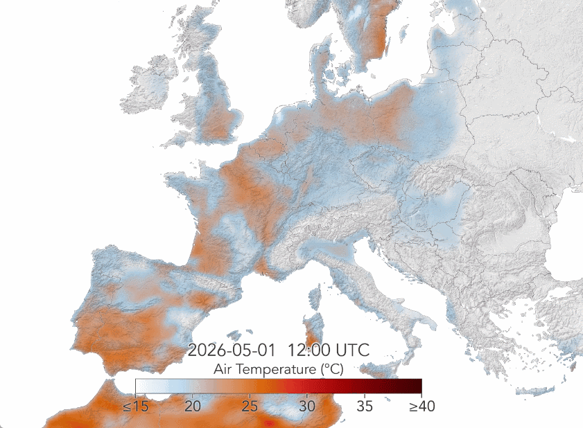 Los resultados del modelo global GEOS (Sistema de Observación de la Tierra Goddard) de la NASA muestran la temperatura máxima diaria del aire en la superficie de Europa Occidental desde el 1 de mayo hasta el 19 de agosto de 2026. Las áreas de color rojo más oscuro indican temperaturas que alcanzaron o superaron los 40 °C. NASA Earth Observatory/Lauren Dauphin