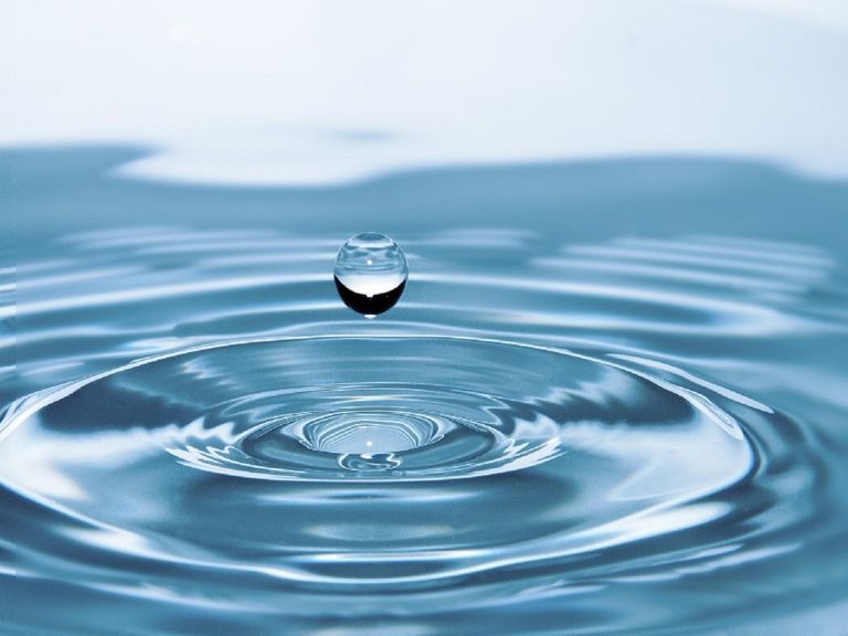 Todos los seres vivos necesitan agua para su día a día. Todos los seres vivos necesitan agua para su día a día.