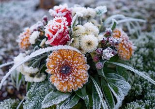 Abril começa muito frio: irá Portugal viver um mês invernal?