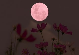 Luna Rosa, lluvia de estrellas y más espectáculos cósmicos en abril