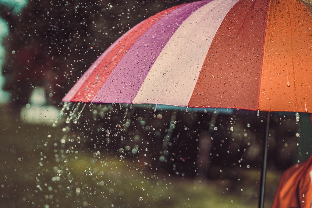 rain, umbrella