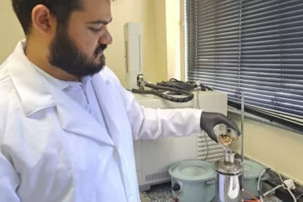 Investigación con semillas de açaí en el Proyecto Sustenbio Energy de la UFPA Investigación con semillas de açaí en el Proyecto Sustenbio Energy de la UFPA