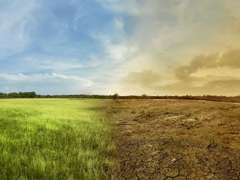 La semana pasada hubo una reunión en Naciones Unidas para definir acciones ante el cambio climático. Fotografía: Europart La semana pasada hubo una reunión en Naciones Unidas para definir acciones ante el cambio climático. Fotografía: Europart