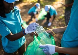 Aktionen zum Schutz der Natur: Wie Sie heute etwas bewirken können